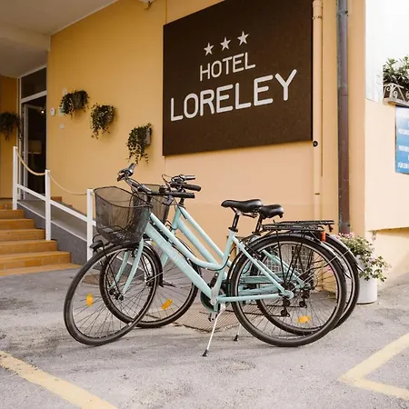 Hotel Loreley-3