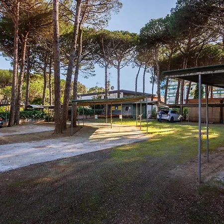 Hotel Picobello Pineta-2