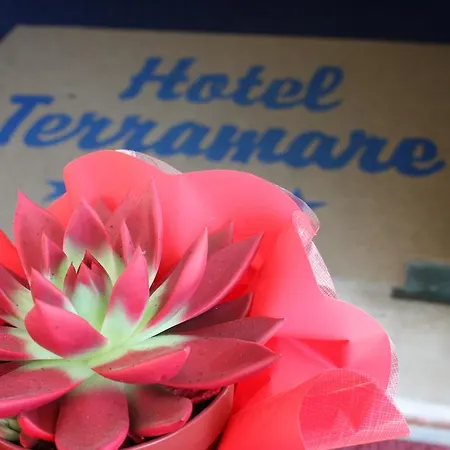 Hotel Terramare-3