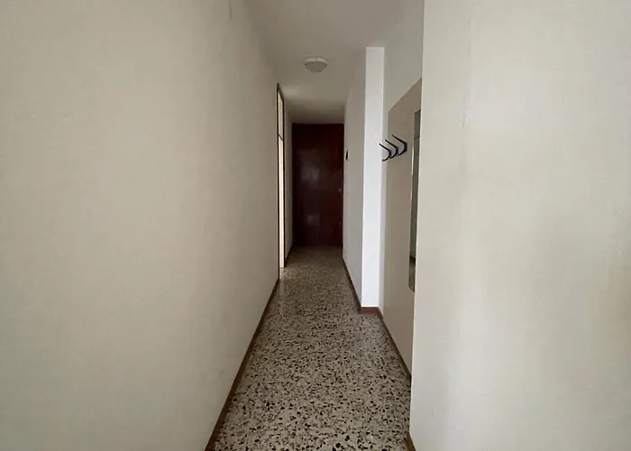 RESIDENCE VELA - WALTERIGATO Apartments SOLO PER FAMIGLIE Lido di Jesolo che accetta animali